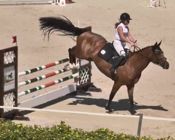 Reitturnier Waldachtal-Heiligenbronn 2015