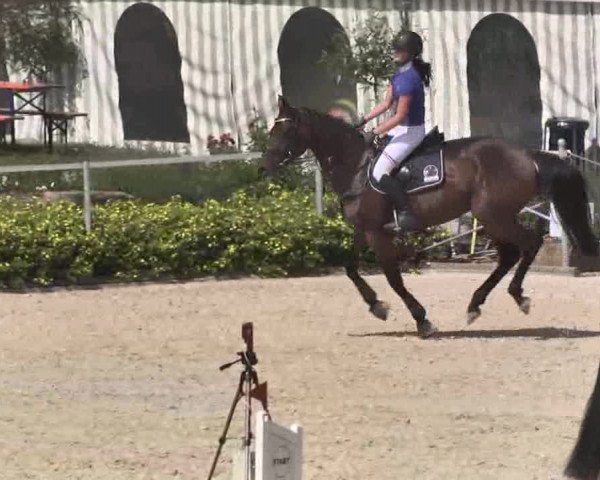 Reitturnier Waldachtal-Heiligenbronn 2015