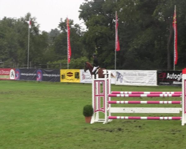 Reitturnier Holdorf 2015