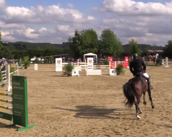 Reitturnier Bühren-Breckerfeld 2015