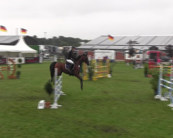 Reitturnier Holdorf 2015