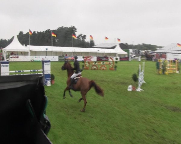 Reitturnier Holdorf 2015