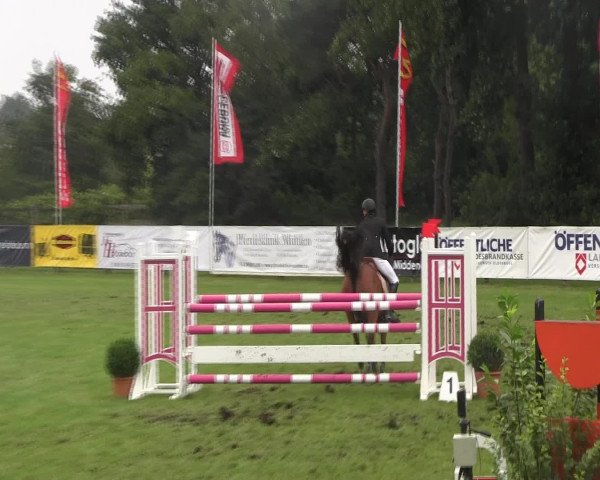 Reitturnier Holdorf 2015