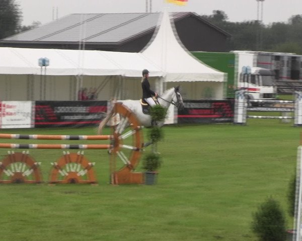 Reitturnier Holdorf 2015