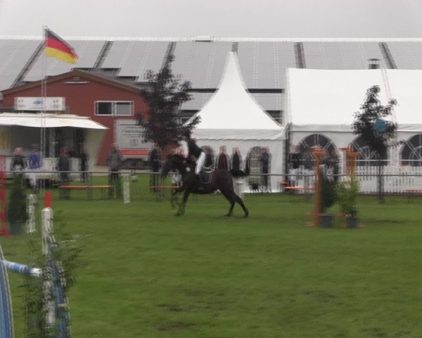Reitturnier Holdorf 2015