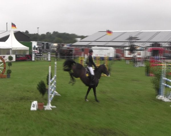Reitturnier Holdorf 2015
