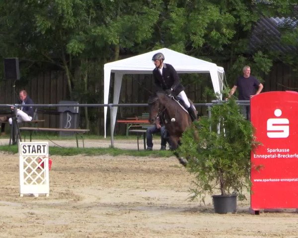 Reitturnier Bühren-Breckerfeld 2015