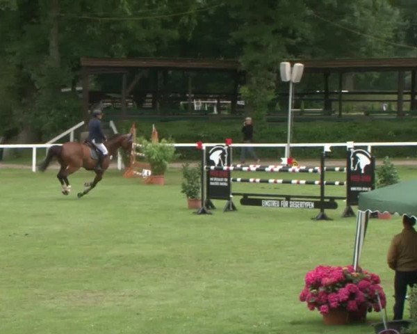 Schenefelder Sommerturnier 2015 - Horse & Classic