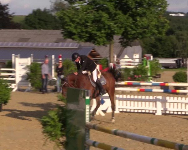 Reitturnier Bühren-Breckerfeld 2015