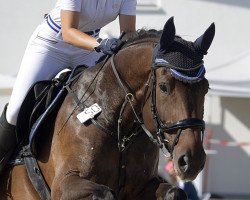 jumper Cara mia 140 (Hanoverian, 2013, from Carrico)