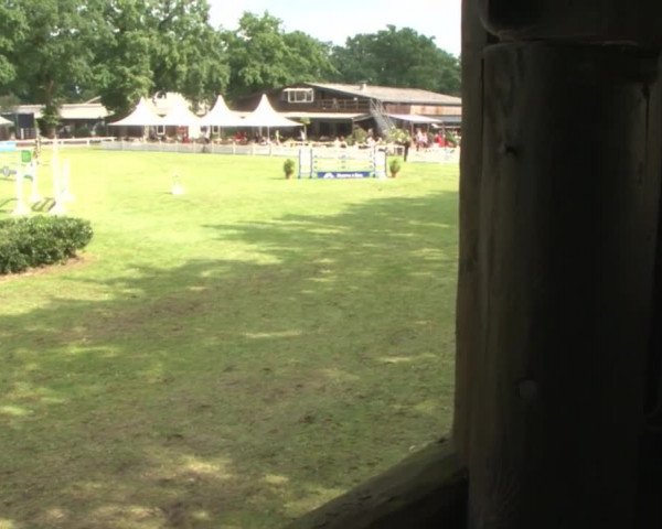 Schenefelder Sommerturnier 2015 - Horse & Classic