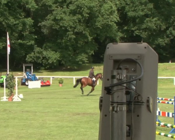 Schenefelder Sommerturnier 2015 - Horse & Classic