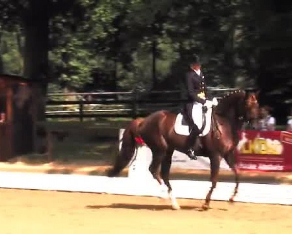 Schenefelder Sommerturnier 2015 - Horse & Classic