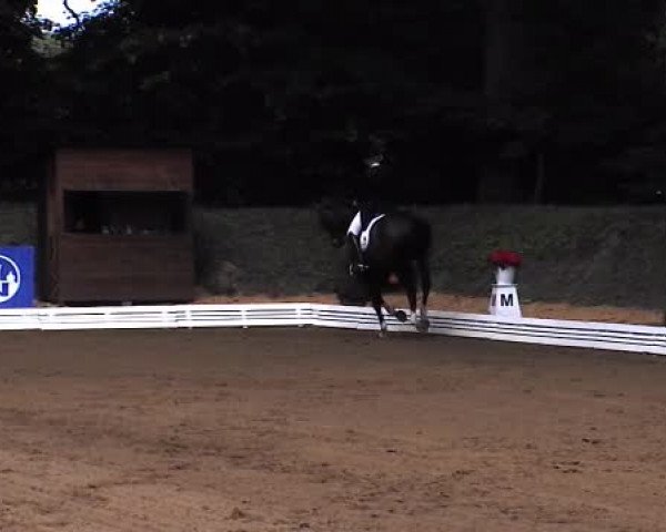Schenefelder Sommerturnier 2015 - Horse & Classic