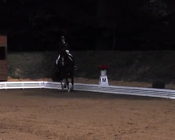 Schenefelder Sommerturnier 2015 - Horse & Classic