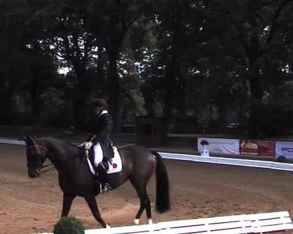 Schenefelder Sommerturnier 2015 - Horse & Classic