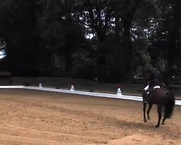 Schenefelder Sommerturnier 2015 - Horse & Classic