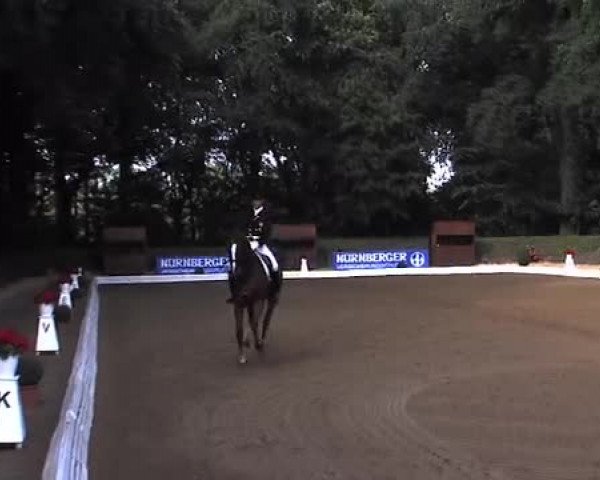 Schenefelder Sommerturnier 2015 - Horse & Classic