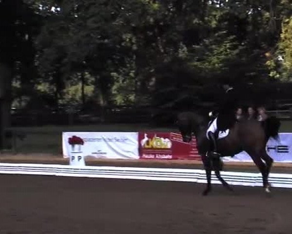 Schenefelder Sommerturnier 2015 - Horse & Classic