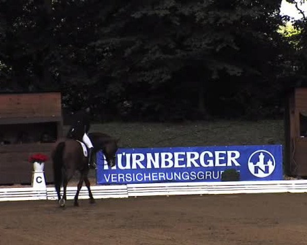 Schenefelder Sommerturnier 2015 - Horse & Classic