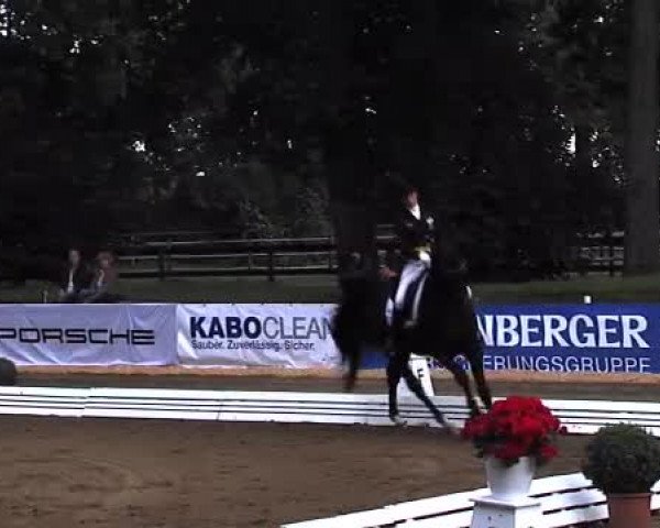 Schenefelder Sommerturnier 2015 - Horse & Classic