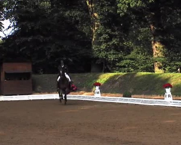 Schenefelder Sommerturnier 2015 - Horse & Classic