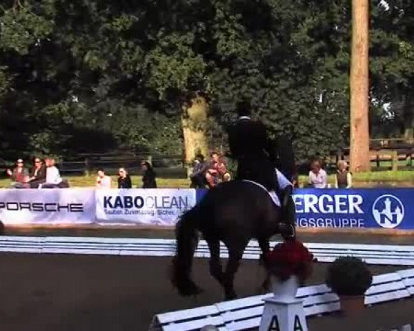 Schenefelder Sommerturnier 2015 - Horse & Classic
