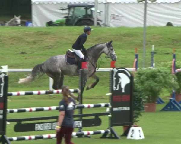 Schenefelder Sommerturnier 2015 - Horse & Classic