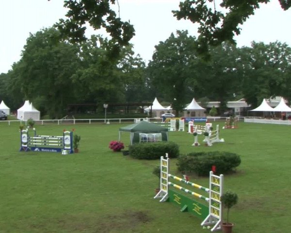 Schenefelder Sommerturnier 2015 - Horse & Classic