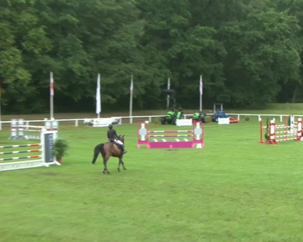 Schenefelder Sommerturnier 2015 - Horse & Classic