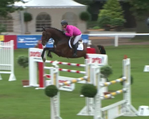 Schenefelder Sommerturnier 2015 - Horse & Classic