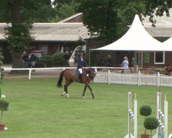 Schenefelder Sommerturnier 2015 - Horse & Classic