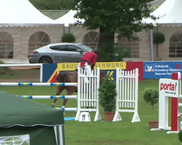 Schenefelder Sommerturnier 2015 - Horse & Classic