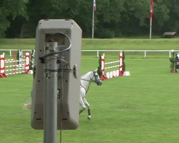 Schenefelder Sommerturnier 2015 - Horse & Classic