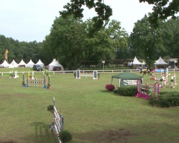 Schenefelder Sommerturnier 2015 - Horse & Classic