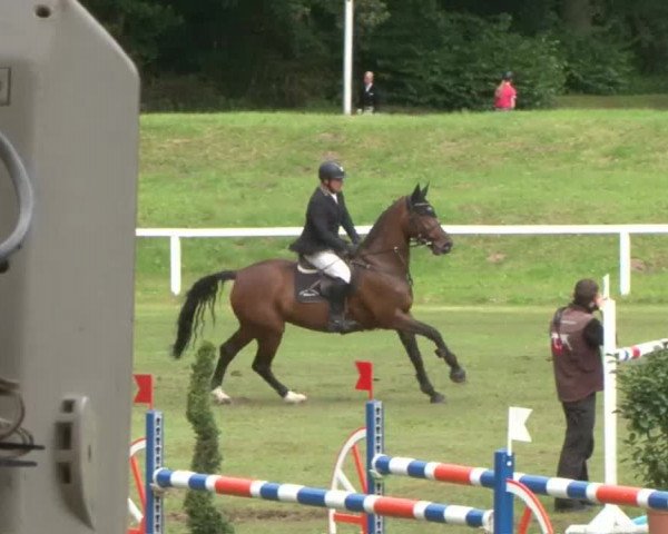 Schenefelder Sommerturnier 2015 - Horse & Classic