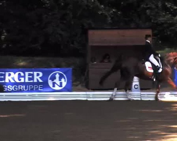 Schenefelder Sommerturnier 2015 - Horse & Classic