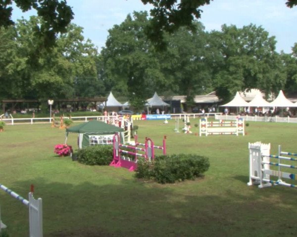 Schenefelder Sommerturnier 2015 - Horse & Classic
