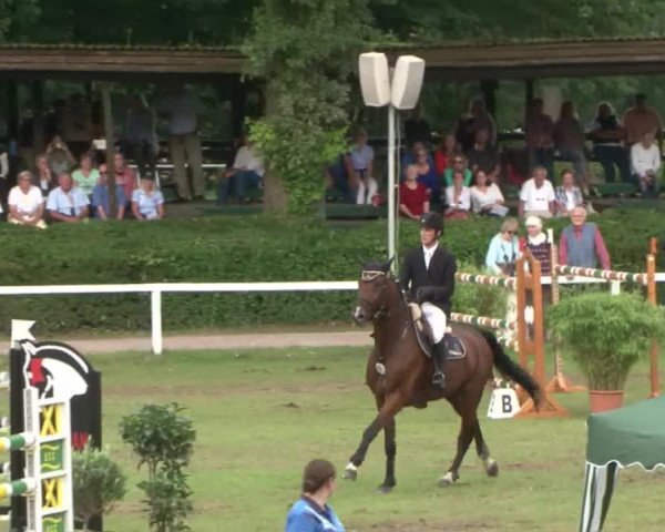 Schenefelder Sommerturnier 2015 - Horse & Classic