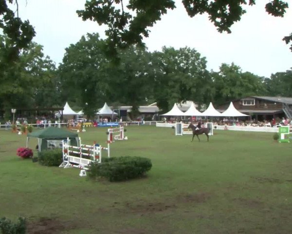 Schenefelder Sommerturnier 2015 - Horse & Classic