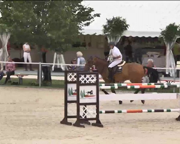 Reitturnier Waldachtal-Heiligenbronn 2015