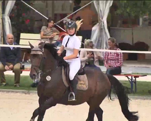 Reitturnier Waldachtal-Heiligenbronn 2015