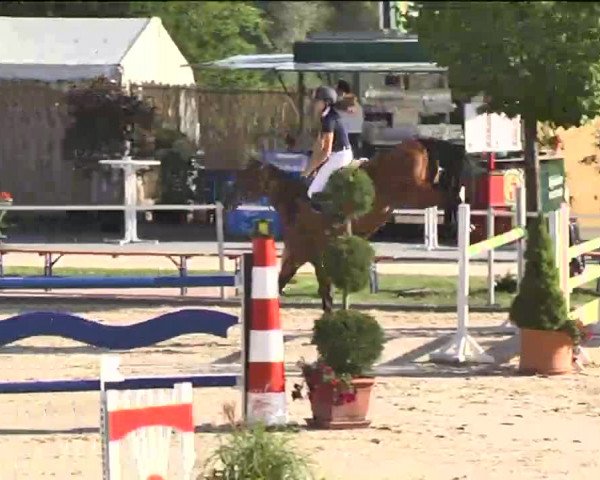 Reitturnier Waldachtal-Heiligenbronn 2015