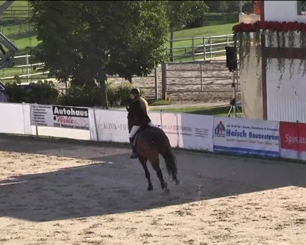 Reitturnier Waldachtal-Heiligenbronn 2015