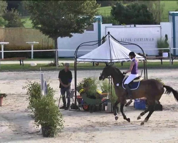 Reitturnier Waldachtal-Heiligenbronn 2015