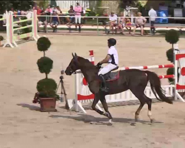 Reitturnier Waldachtal-Heiligenbronn 2015