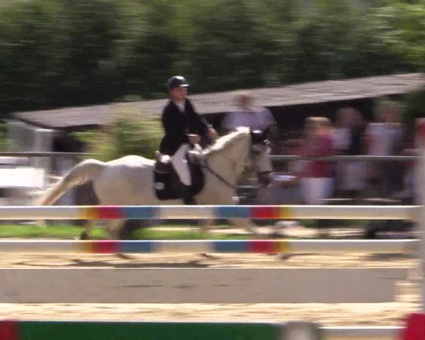 Reitturnier Bühren-Breckerfeld 2015