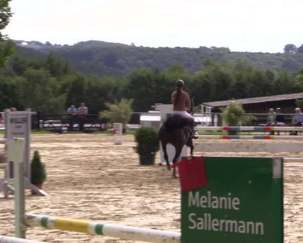 Reitturnier Bühren-Breckerfeld 2015