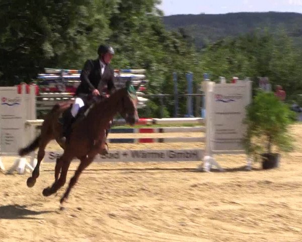 Reitturnier Bühren-Breckerfeld 2015