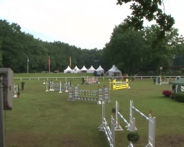 Schenefelder Sommerturnier 2015 - Horse & Classic